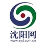沈阳网公众号ico