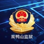 黑龙江省双鸭山监狱ico