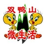 双鸭山微生活公众号ico