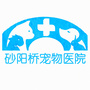砂阳桥宠物医院公众号ico