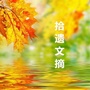 拾遗文摘ico
