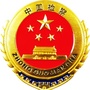 正义张湾ico