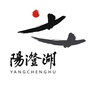 阳澄湖ico