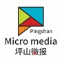坪山微报ico