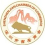 深圳市吉安商会ico
