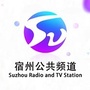 宿州广播电视台公共频道ico