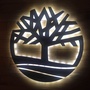 Timberland微学习ico