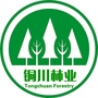 铜川林业ico