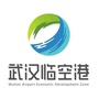 武汉临空港ico