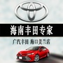 广汽丰田海口中升美兰店ico