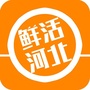 鲜活河北ico