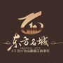 台山东方名城ico