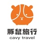BJ豚鼠旅行ico