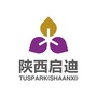 陕西启迪科技园ico