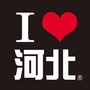河北范儿ico