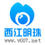 肇庆西江明珠ico