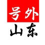 每日新山东公众号ico