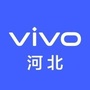 河北V范儿ico