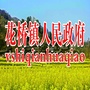 醉美花桥情ico