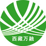 西藏万融投资有限公司ico