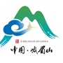 微峨眉ico