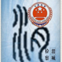 渭城检察ico