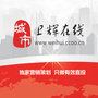 卫辉在线ico