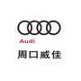 周口威佳奥迪ico