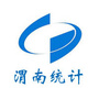 渭南统计ico
