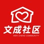 美丽文成ico