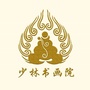 少林书画院公众号ico