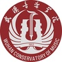 武汉音乐学院ico