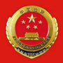武汉洪山检察ico