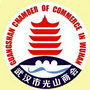 武汉市光山商会ico