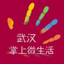 武汉掌上微生活ico