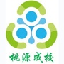 吴江区桃源成校ico