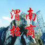 渭南招商ico