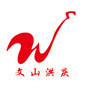 文山洪庆ico