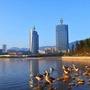文化临翔ico
