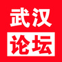 武汉论坛ico
