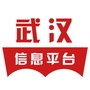 武汉信息平台ico