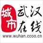 武汉在线官网ico