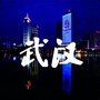 武汉本地生活指南ico