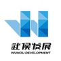 武侯发展ico