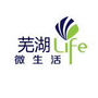 芜湖life微生活ico