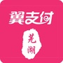 芜湖翼支付公众号ico