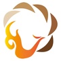 梧桐会WTCico