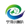 宁河小喇叭ico