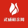 武威相亲网ico