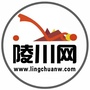 陵川网公众号ico